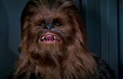 Chewie DS1.jpg