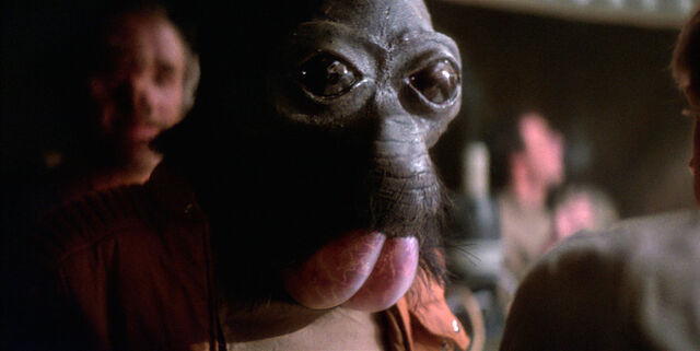 Fájl:Ponda Baba.jpeg