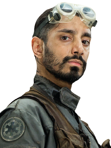 Αρχείο:Bodhi Rook.png