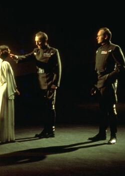 Motti standing.jpg