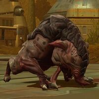 SalkyHound.jpg