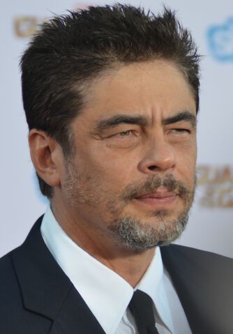 File:Benicio Del Toro.jpg
