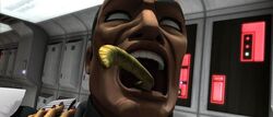 Trap infected.jpg