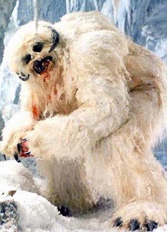 File:SkywalkerWampa.jpg