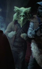 Shasa Tiel.jpg
