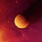 File:Haroon.jpg