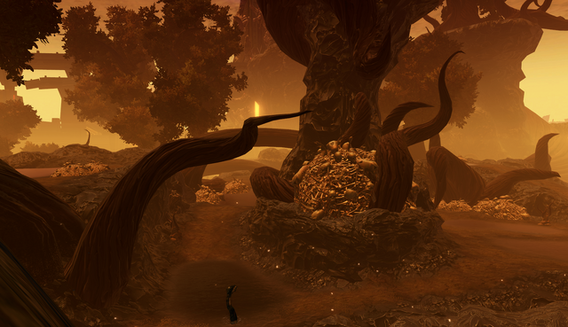 File:Tangled Grove.png