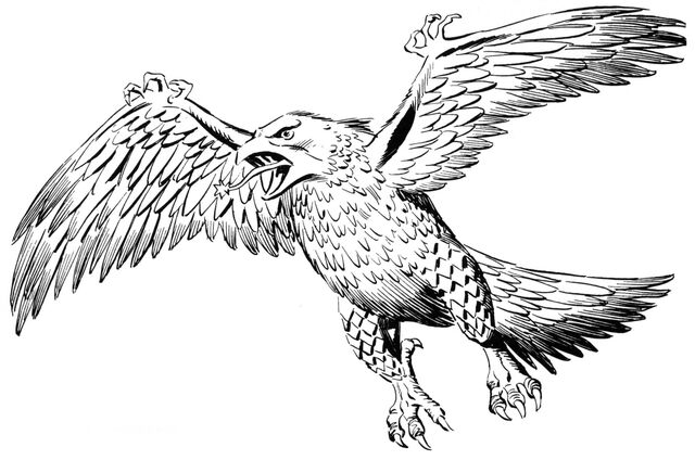File:Avogwigg4.jpg