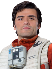PoeDameronHS-Fathead