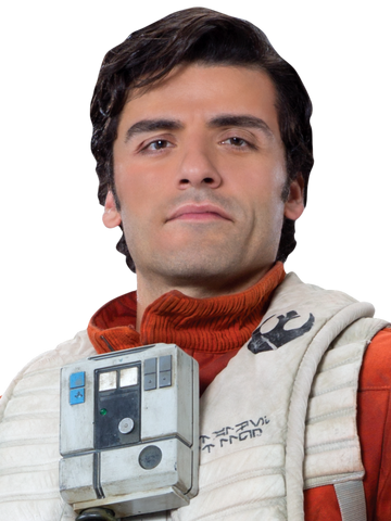 File:PoeDameronHS-Fathead.png