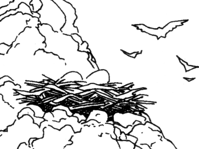 File:Avril Nest.png