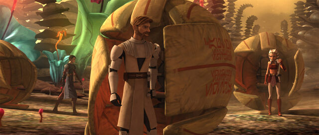 File:Survival capsules open.jpg