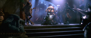 Band copy1.jpg