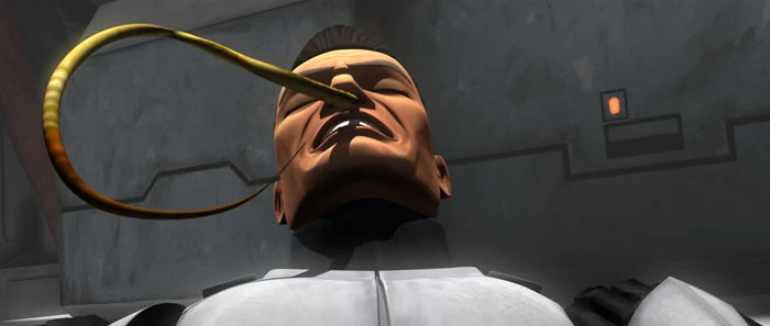 Brain worm  Wookieepedia  FANDOM powered by Wikia