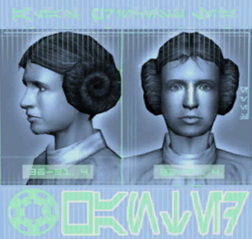 File:Leiawanted.png