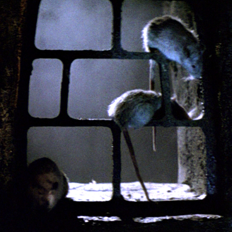 File:Movie rats.png