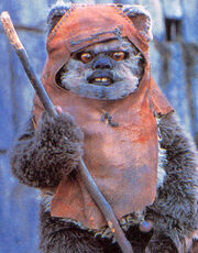Wicket headshot