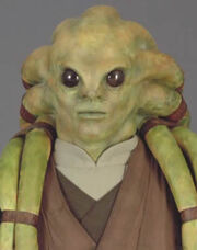Kit Fisto