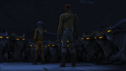 Gathering Forces 24