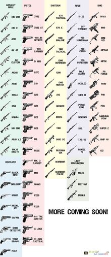 1350745653 gunlist.jpg
