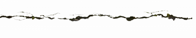 Datei:Header 2.png
