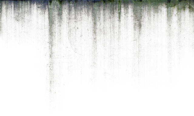 Datei:Header 1.png