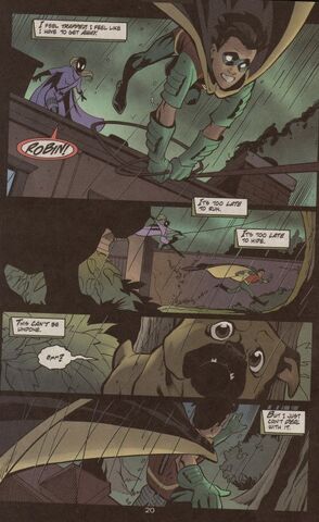 File:Robin8704.jpg