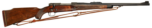 File:458WinMag DHarry.jpg