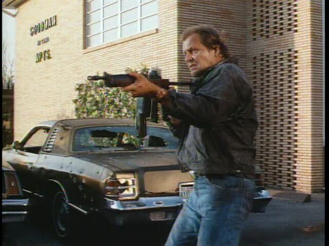 File:ITLD-Ruger-4.jpg