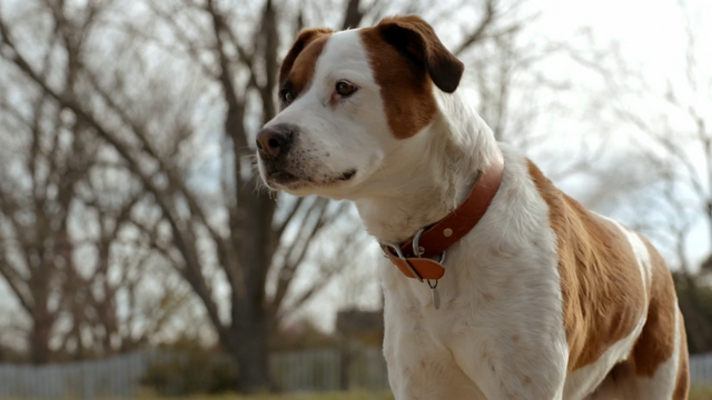 File:Truman.png
