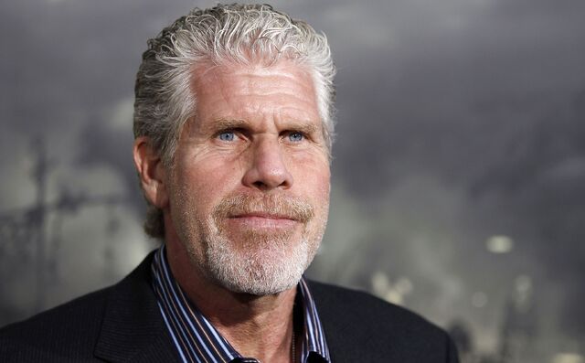 File:Acd2e535-ca72-4c90-b378-57460db4d08e ronperlman.jpg
