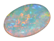 IMG 3208.png