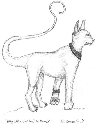 File:Te-Mae-Do.jpg