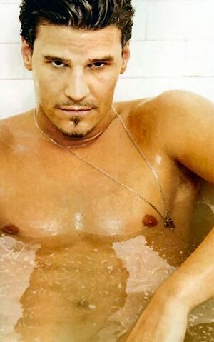 File:David boreanaz 02.jpg