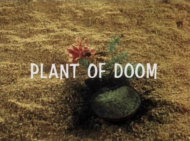 File:Plant of doom.png
