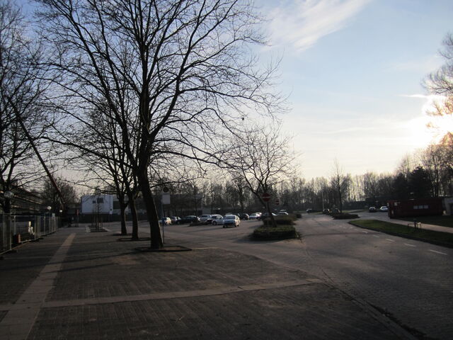 Datei:IMG 0318.jpg