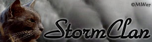 File:StormClan.jpg