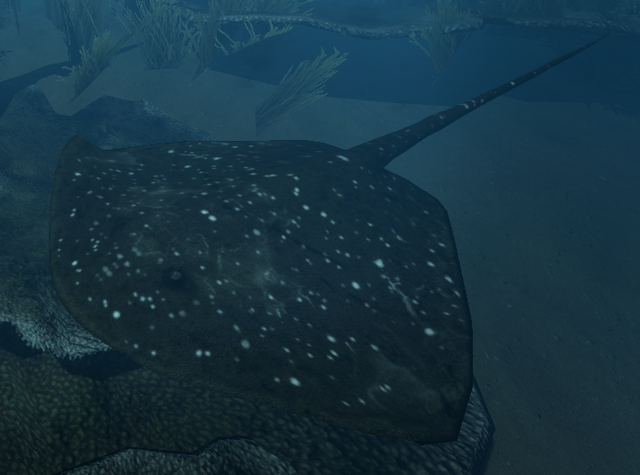 File:Stingray.png