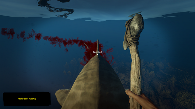 File:Tigershark.png