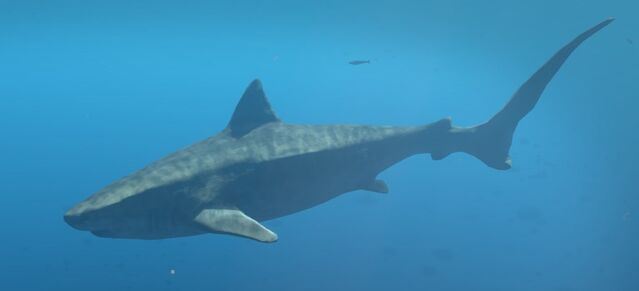 File:2015-01-25 00007.jpg