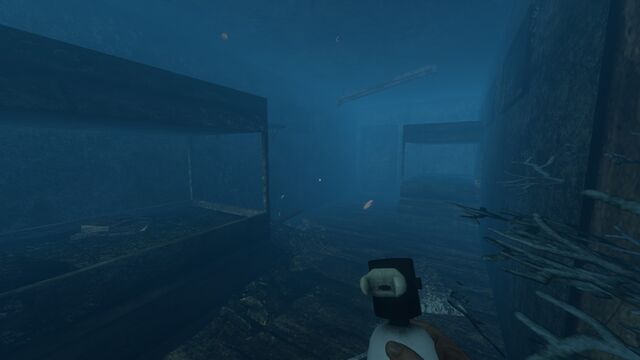 File:Shipwreck interior.jpg