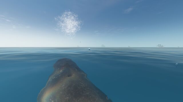 File:Humpback .jpg