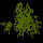 File:Herb04.png