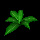 File:Bush02.png