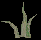 File:Roots02.png