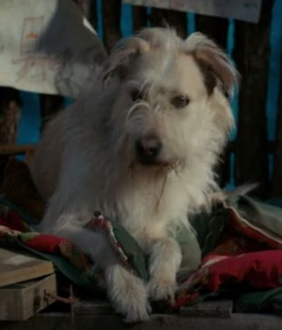 File:Byers-Dog.png