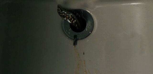 File:1x08 – Will's slug.jpg