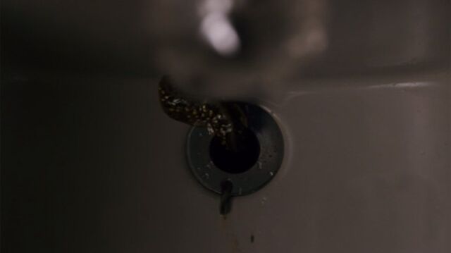 File:What-s-with-the-slugs.jpeg