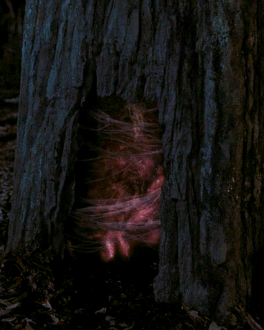 File:The tree portal.png