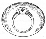 Fortezzan ring